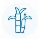 elinox segmentos